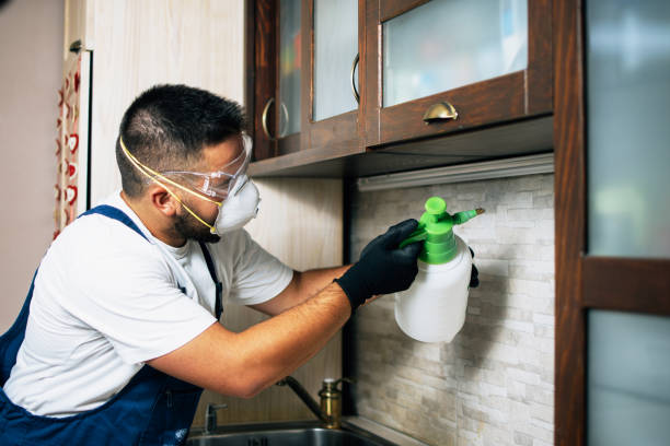 Best Residential Pest Control  in Shepherd, TX