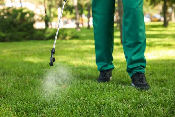 Best Rat Extermination Near Me  in Shepherd, TX