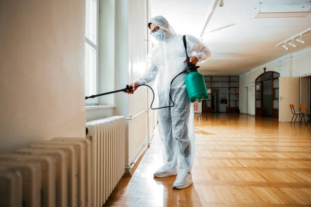 Best Bed Bug Extermination  in Shepherd, TX